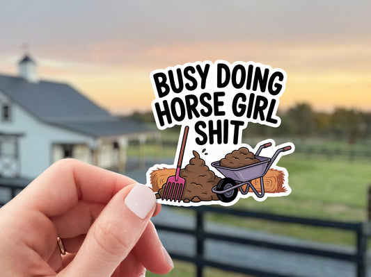 Equestrian Horse Sticker - Horse Girl Shit
