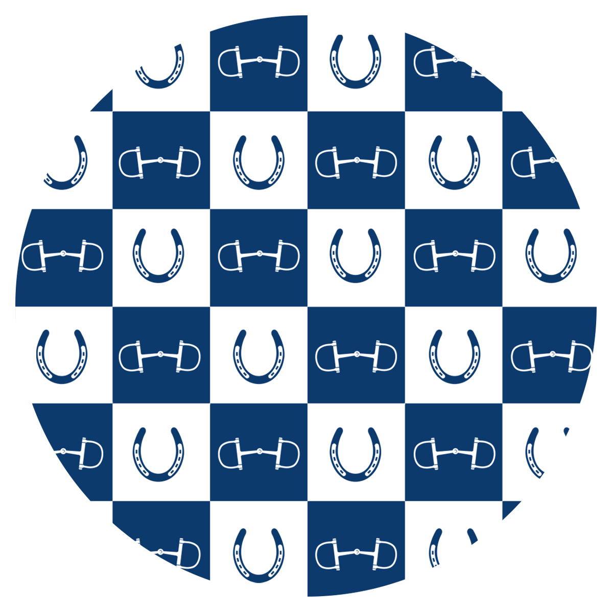 Dark Blue Equestrian Checkered 20 oz Aluminum Water Bottle