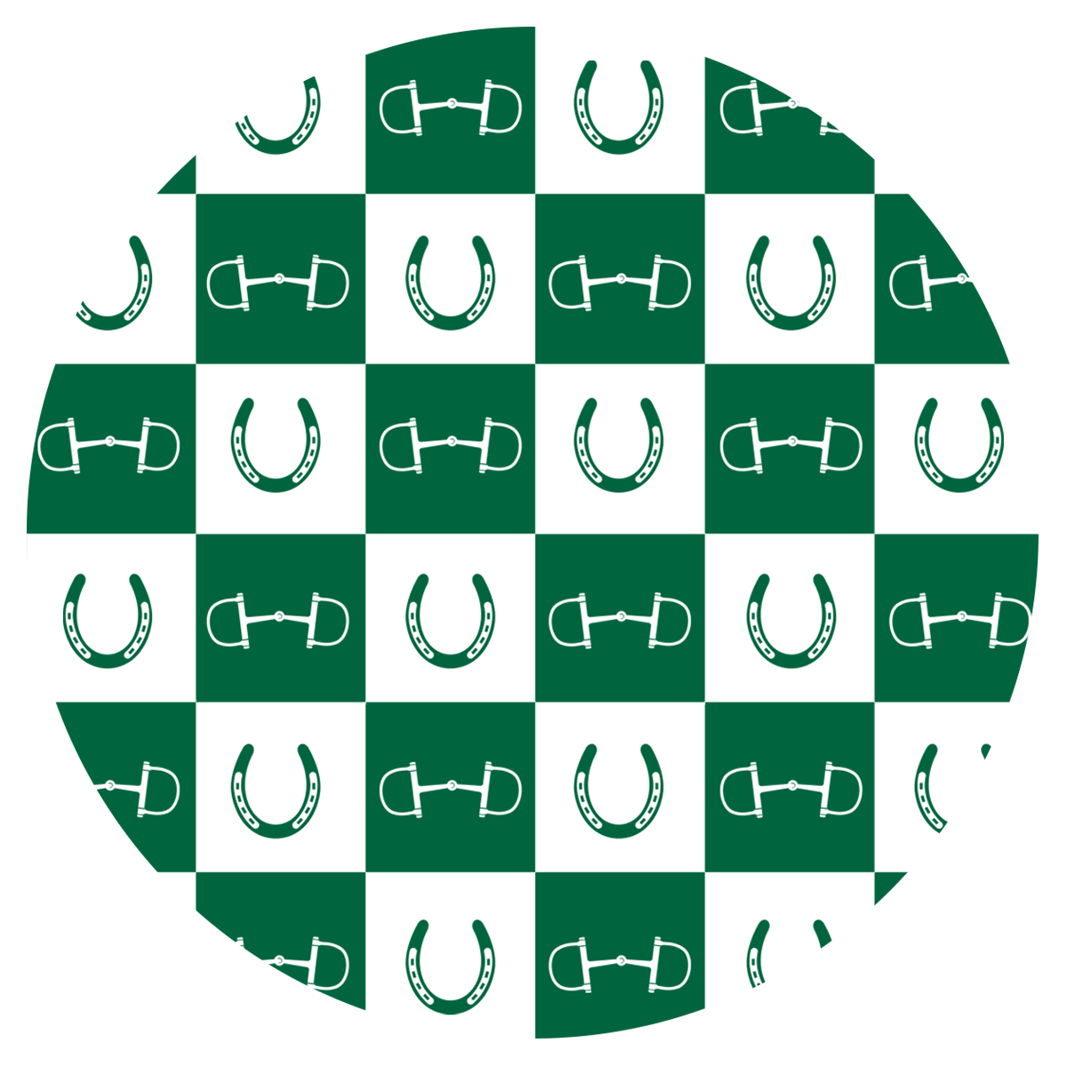 Hunter Green Equestrian Checkered 20 oz Aluminum Water Bottle