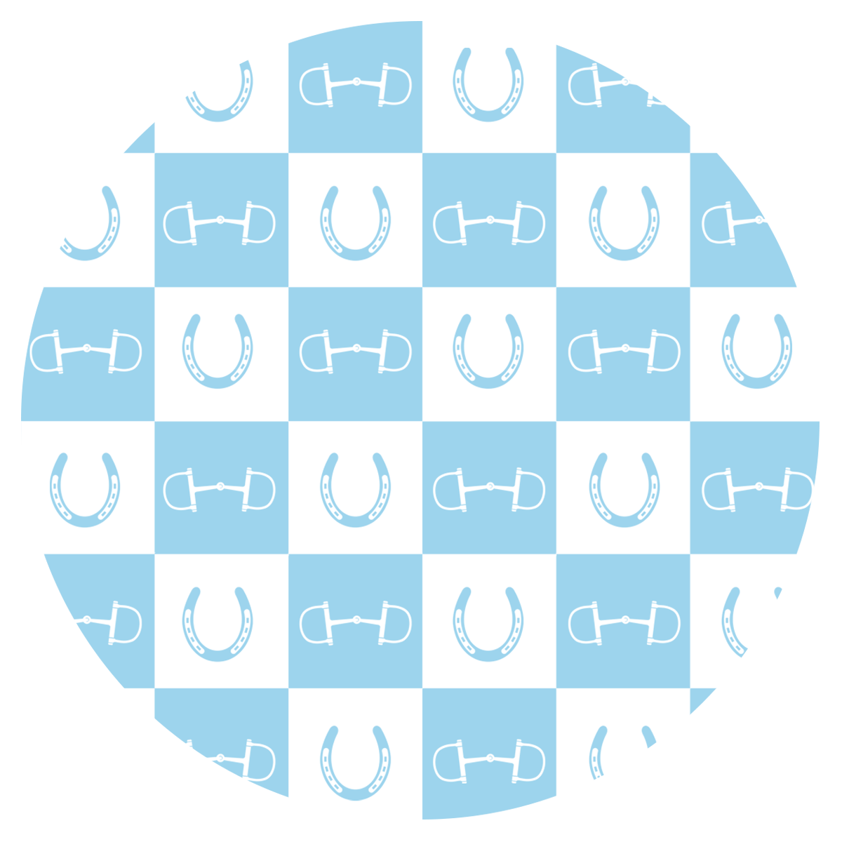 Light Blue Equestrian Checkered 20 oz Aluminum Water Bottle