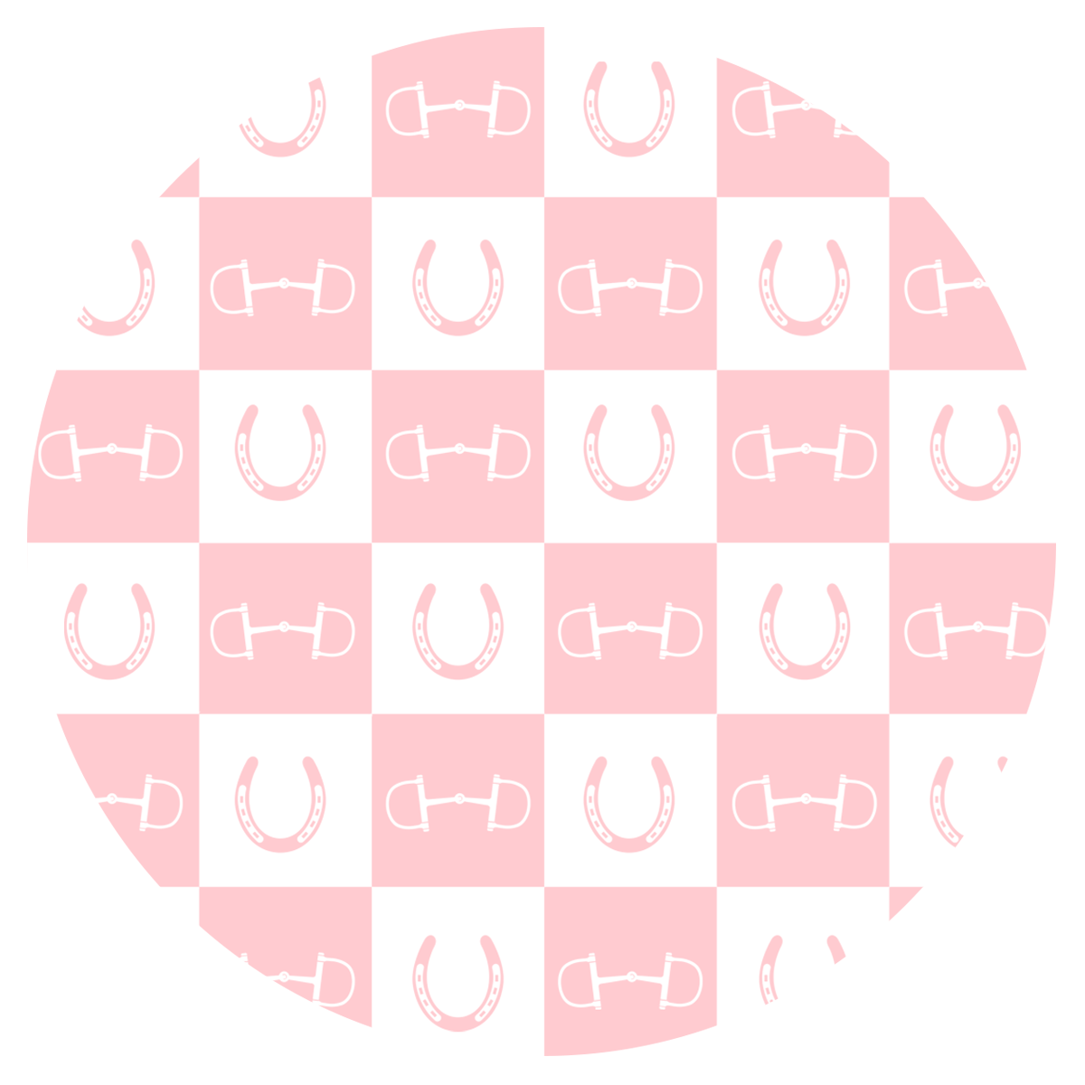 Pink Equestrian Checkered 20 oz Aluminum Water Bottle