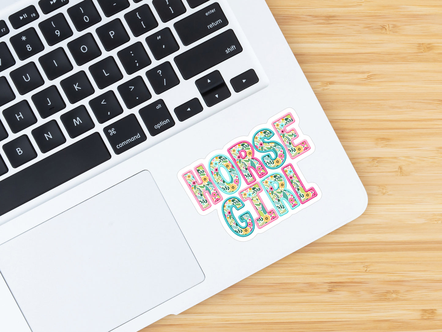 Equestrian Horse Sticker - Horse Girl