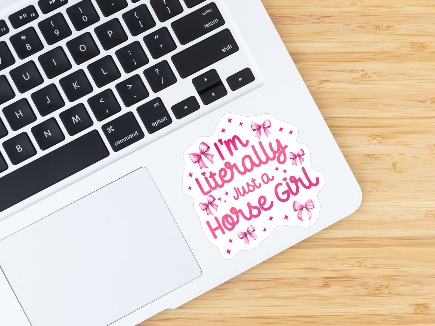 Equestrian Horse Sticker - Literally Just a Horse Girl