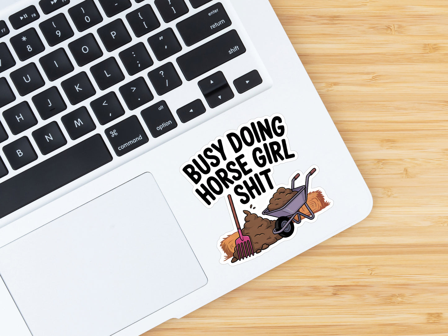 Equestrian Horse Sticker - Horse Girl Shit