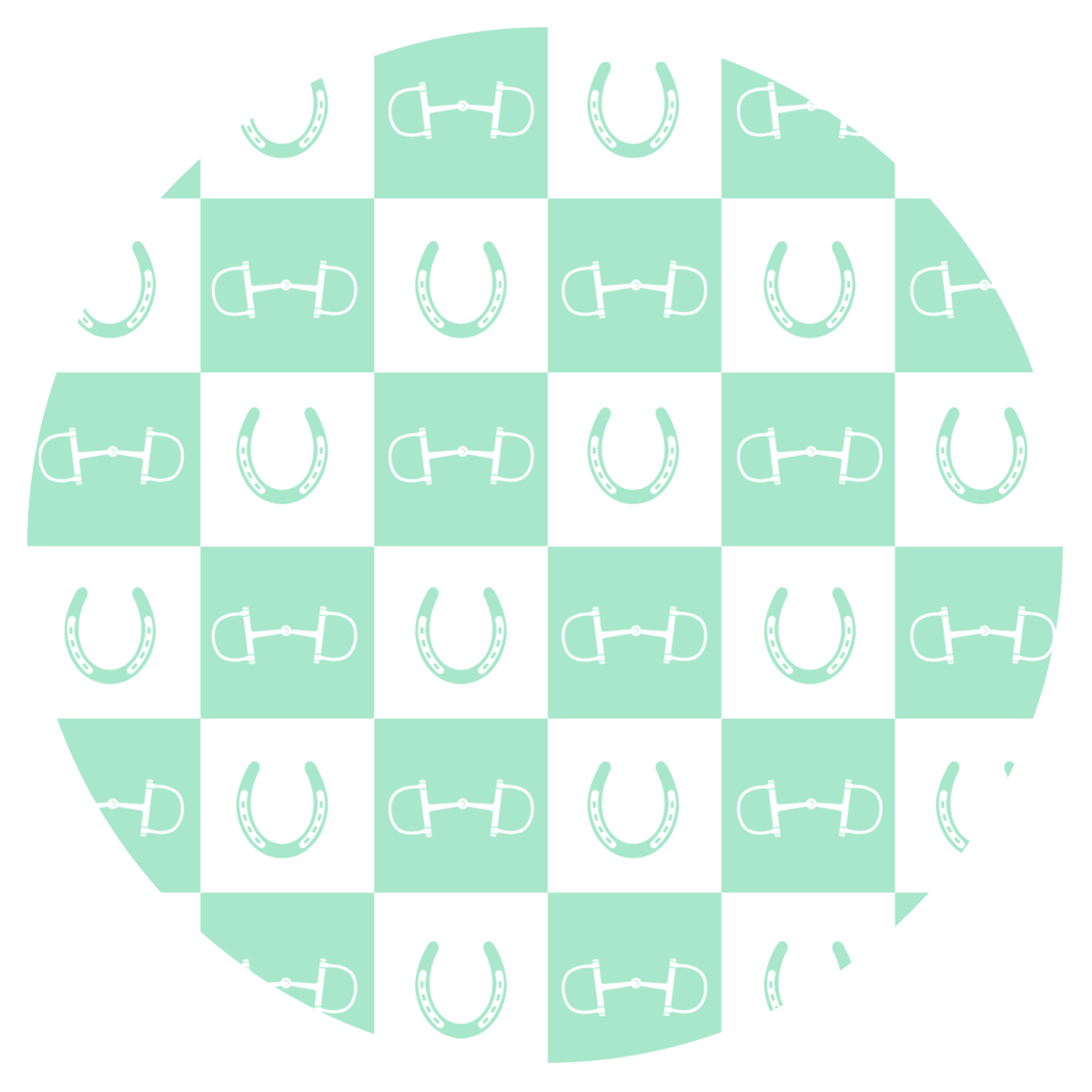 Mint Green Equestrian Checkered 20 oz Aluminum Water Bottle